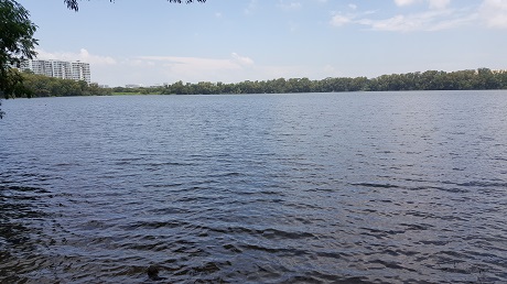 The Alps Residences Condo near Tampines Quarry