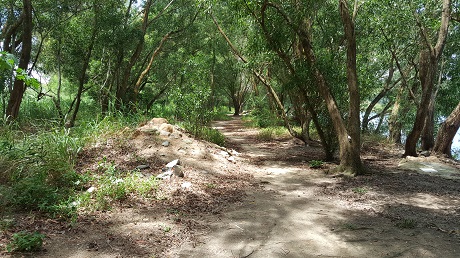 The Alps Residences Condo near Tampines Quarry