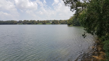 The Alps Residences Condo near Tampines Quarry