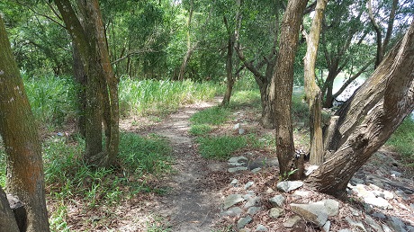 The Alps Residences Condo near Tampines Quarry