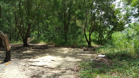 The Alps Residences Condo near Tampines Quarry