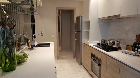 The Alps Residences Showflat Photo