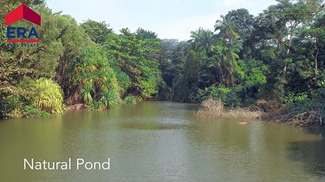 Kent Ridge Hill Residences